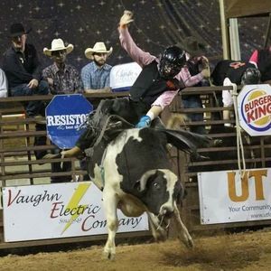 Meet your Posher, Cole